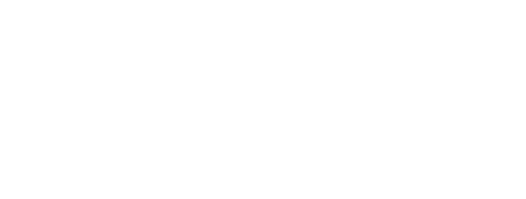 Celso Nakagawa - Logo - branco.png
